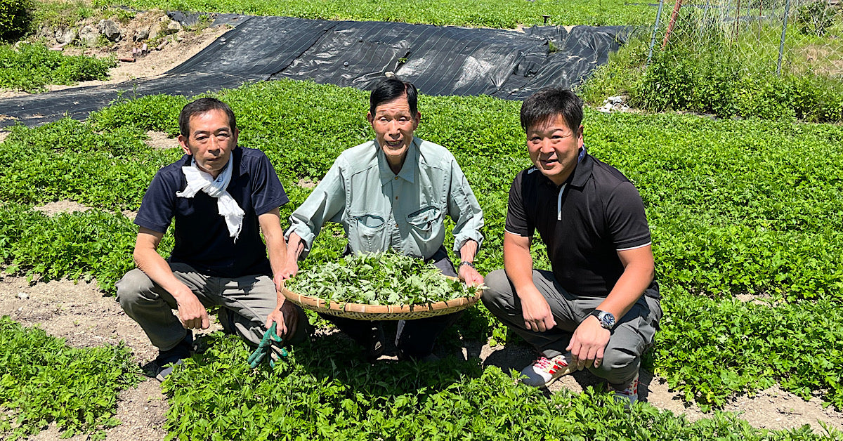 深吉野よもぎ　代表者辞任と後任のご挨拶