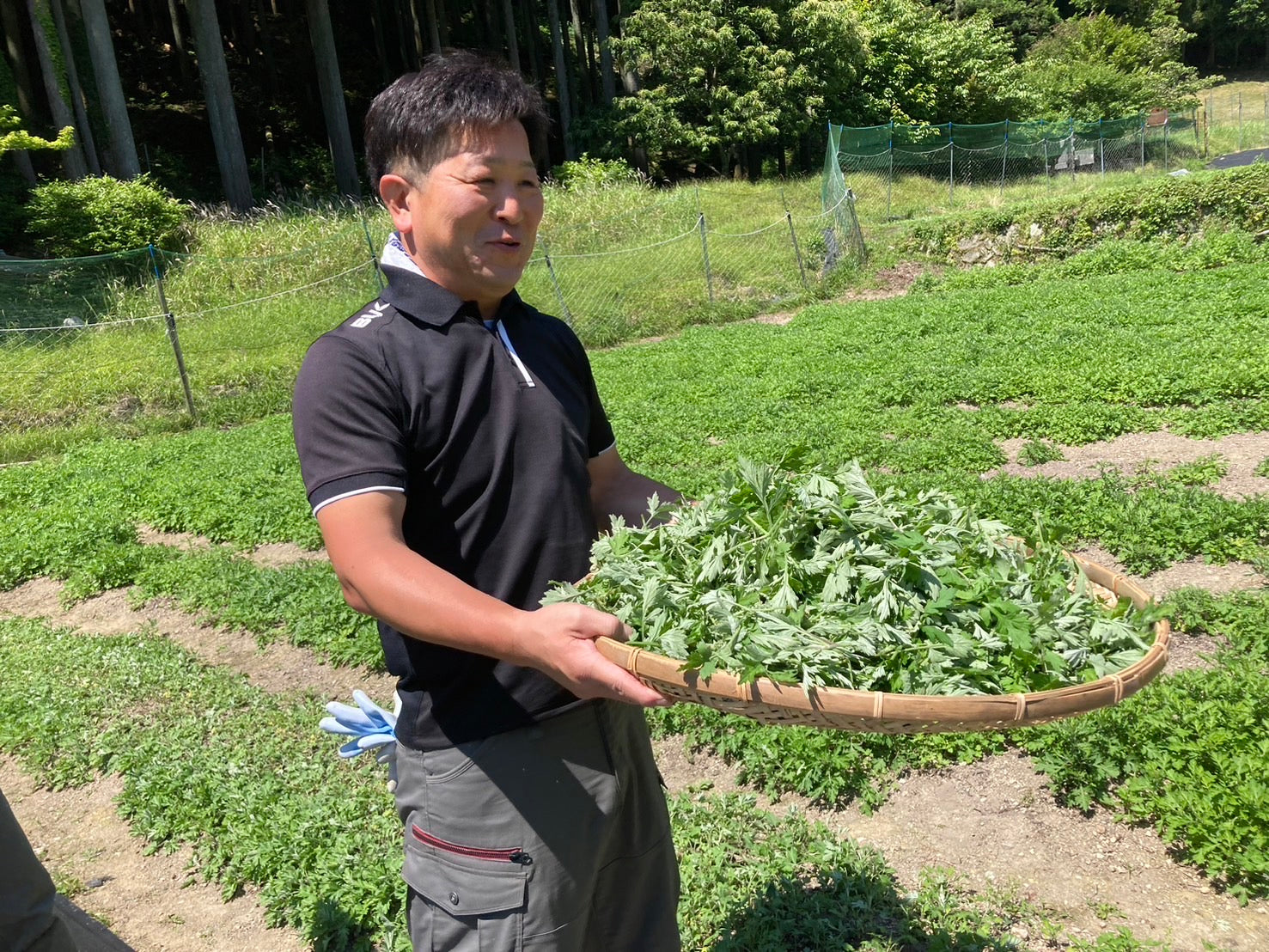 企業概要
