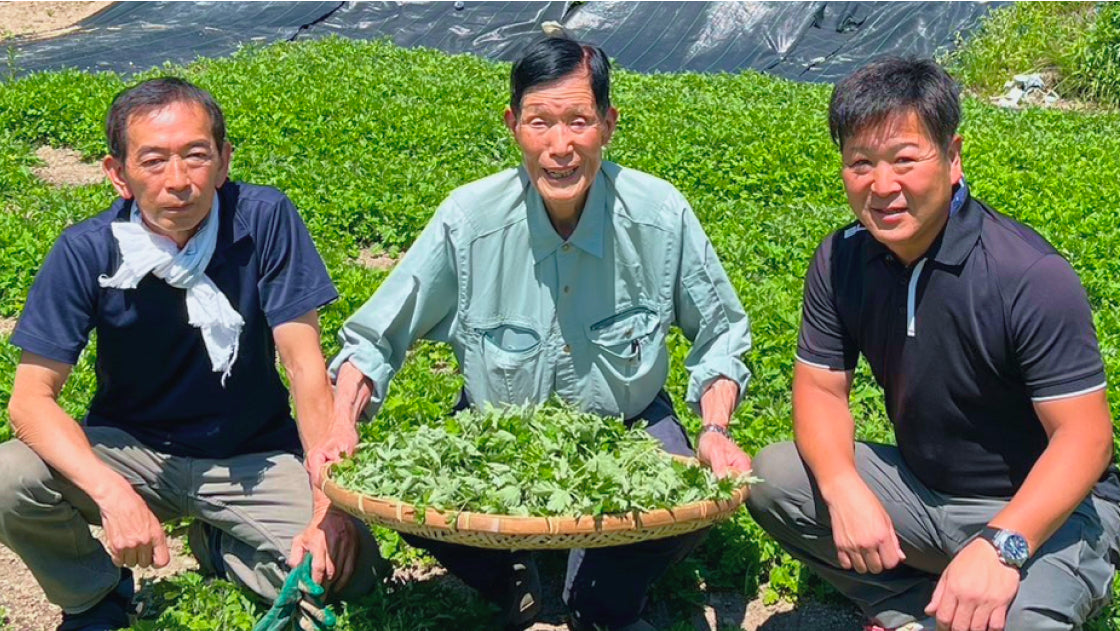 深吉野よもぎ｜専業よもぎ農家。生産・加工・販売、深吉野よもぎで健康